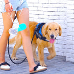 Individuelles, personalisiertes Hundegeschirr mit Reflektorstreifen | Haustierzubehör |
