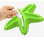 Squeaky Chew Toys for Doggy Dental Health & Fun |