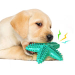 Squeaky Chew Toys for Doggy Dental Health & Fun |