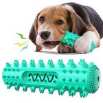 Squeaky Chew Toys for Doggy Dental Health & Fun |