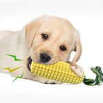 Squeaky Chew Toys for Doggy Dental Health & Fun |