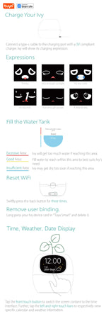 IVY Intelligent Interactive Smart Pot | Decoration Items |