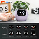 IVY Intelligent Interactive Smart Pot | Decoration Items |
